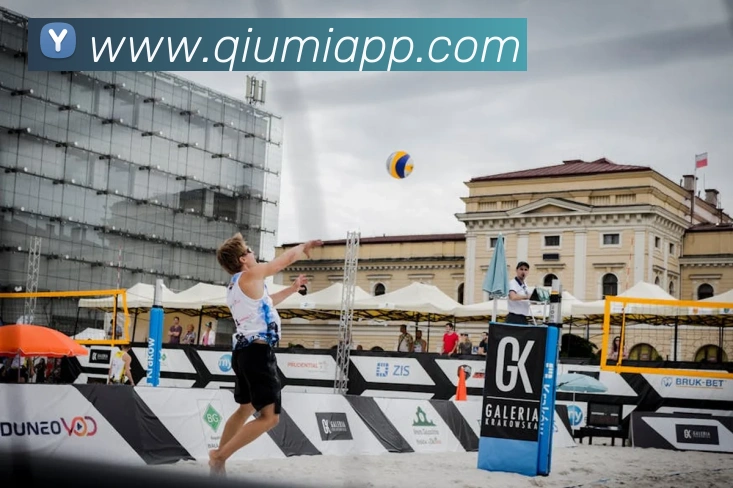 世界杯官方入口平台生态图